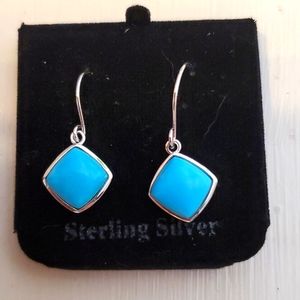 Sterling Silver and Turquoise Earrings